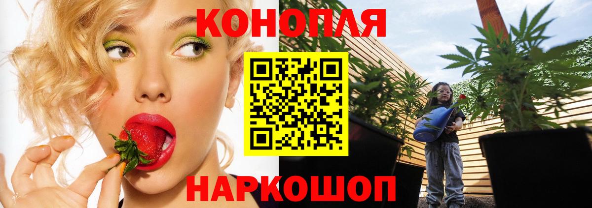 МАРИХУАНА Amnesia  Бошки марихуана VHQ  Каннабис гибрид  Реутов  Вход с VPN  МАРИХУАНА семена 